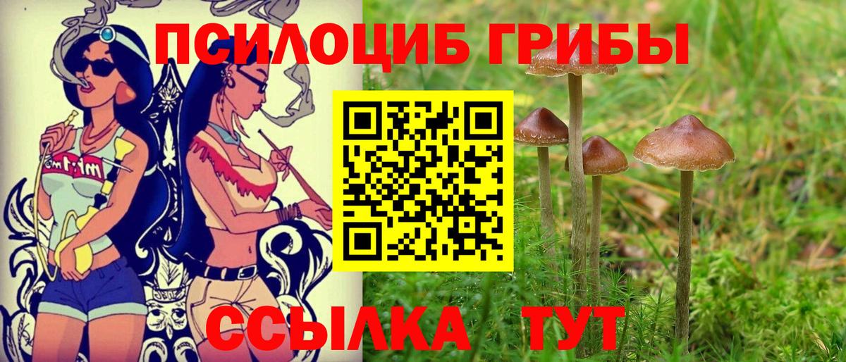 Саров  Псилоцибиновые грибы прущие грибы  Вход с VPN 