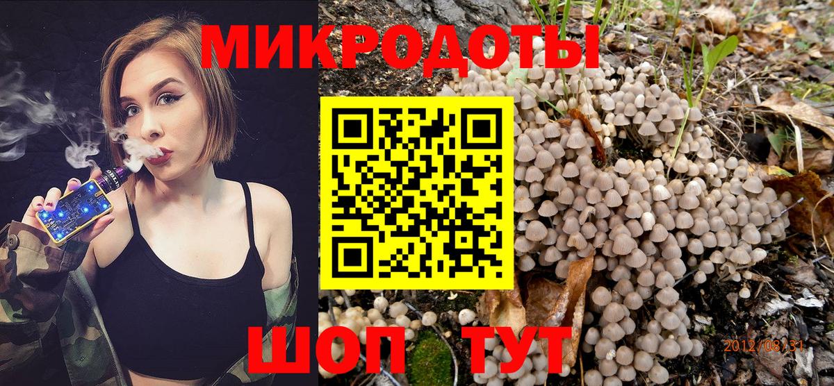 Псилоцибиновые грибы MAGIC MUSHROOMS Саров